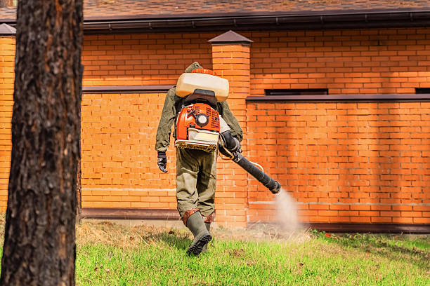 Trusted Fumigation Services service in Old Bethpage, NY - Nex Pest Control
